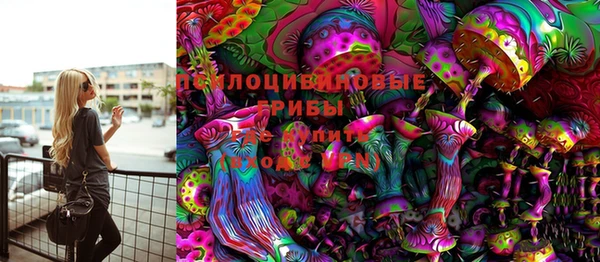 скорость Гусев